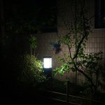 Profile_18231379_75sq_1366499207