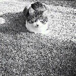 10707130_1495504577363244_1956239200_a