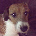 925059_595811873860554_504586759_a