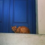 10624205_671415339619263_867256164_a