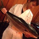 10802497_1556560084579025_640904741_a