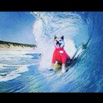 Profile_225642926_75sq_1348321436