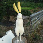 Profile_40502004_75sq_1356372004