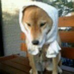 Profile_50825854_75sq_1335979158