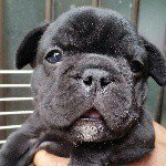 10948793_1393135364327058_1247957211_a