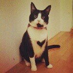 Profile_545865999_75sq_1384260509