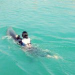 10449130_670828266373264_1387675278_a