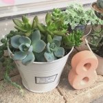 10536876_729833763743335_779050197_a