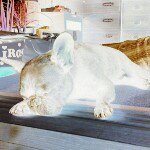 Profile_307937760_75sq_1360937306