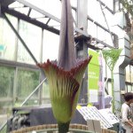 10611115_724215060988099_1907990118_a