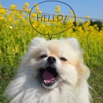 10296843_820832231303292_2140990023_a