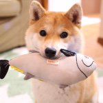 1971422_1541317272747222_3770924_a