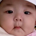 11055647_1397272067257240_1848863262_a