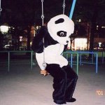 11017556_763117313803901_659212610_a