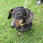 Profile_951094363_75sq_1390845624