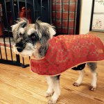 927735_809024975839609_1695994773_a