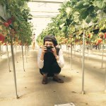 11084736_659982370791191_960134794_a