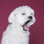 10268901_1492779737663472_693502123_a