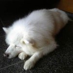 Profile_486808603_75sq_1375151170