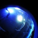 Profile_1206619264_75sq_1395827645