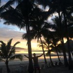 11049438_849914885066913_693984849_a