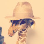 10706697_1520328351542876_729950_a