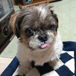 Profile_412911014_75sq_1371038514