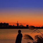 11084831_373896982796913_313613332_a