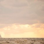 1597558_452668654905460_418188077_a