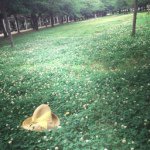 10623609_755396964498366_1433733085_a