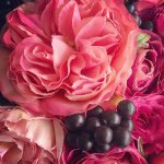 10995021_1578191082420075_1806029043_a