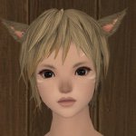 11008286_837816616281287_682467609_a