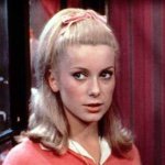 10817964_729831853760211_599547516_a