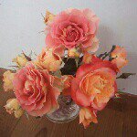 Profile_446635190_75sq_1380280787