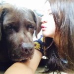 10561112_1490931387816215_860320685_a