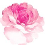 Profile_185125649_75sq_1340360521