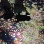 11137892_831089263652042_261831789_a