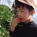 11007854_1561165824101151_176010801_a