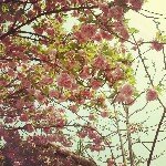 Profile_338425625_75sq_1396876523