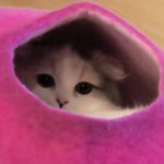 10723934_623491657772632_1574585819_a