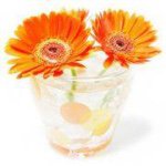 10894921_431981183632359_53965092_a