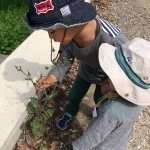 10387973_1494151484132864_1033717042_a