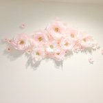 11371093_111517645848551_761512205_a