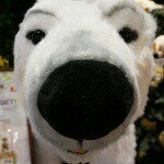 10914426_314671658723620_1913711129_a