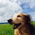 10584714_1446445088976738_1559718160_a