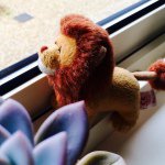 10914495_1568274913419426_2068588750_a