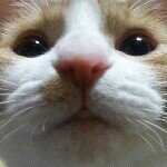 10553982_914852011875091_1770636849_a