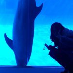 10632240_323673754480486_608839730_a