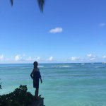 10661248_1473757796239783_206095565_a