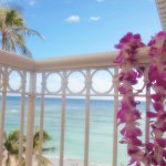 11272129_975679662465646_685109554_a